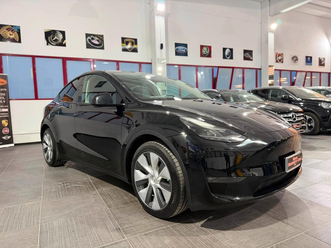 Tesla Model Y Long Range 2024