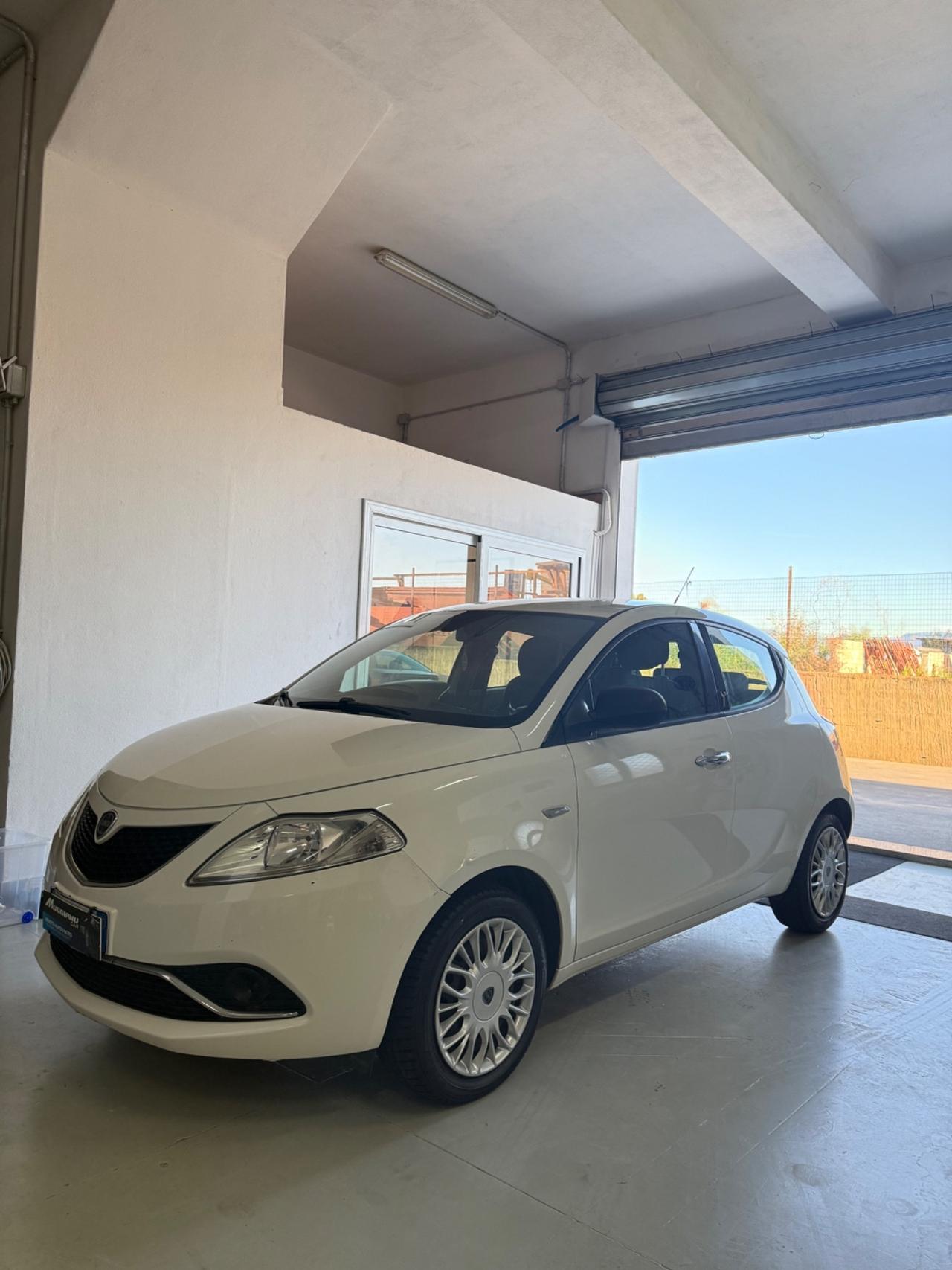 Lancia Ypsilon 1.2 69 CV 5 porte Platinum