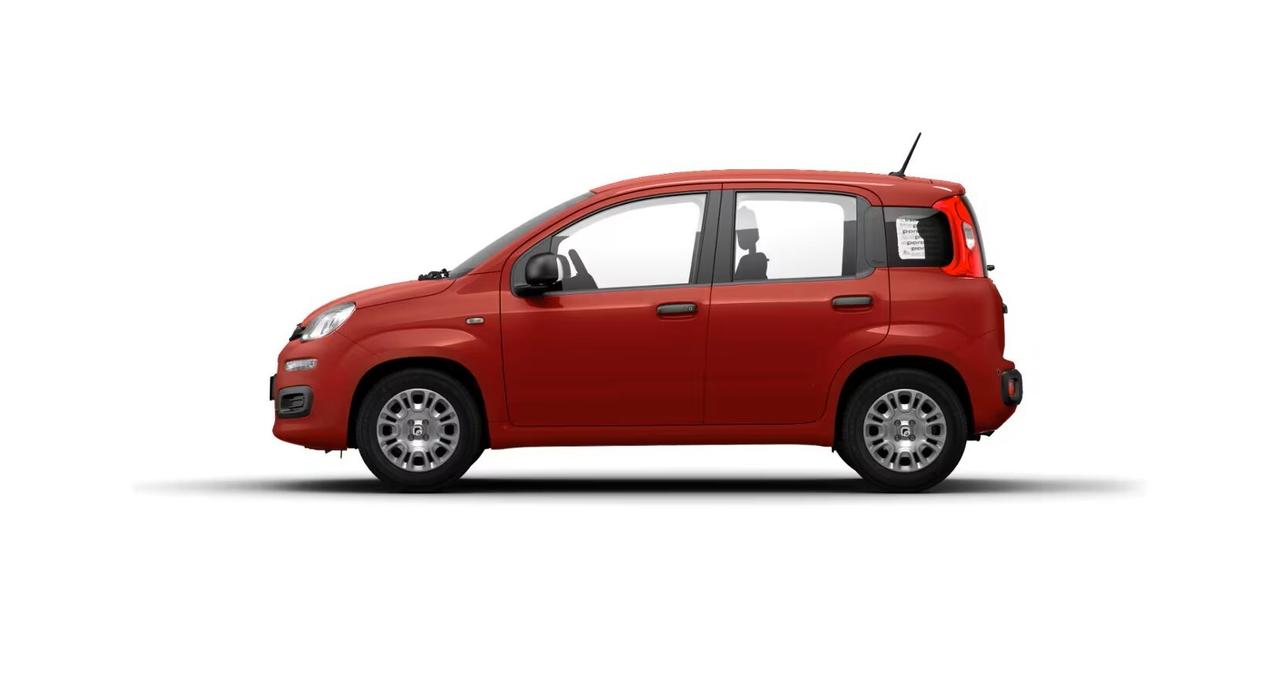 FIAT Pandina Pandina 1.0 FireFly 65 CV Hybrid Icon