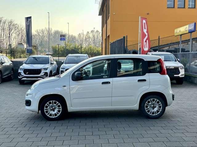 Fiat Panda Panda 1.2 Easy