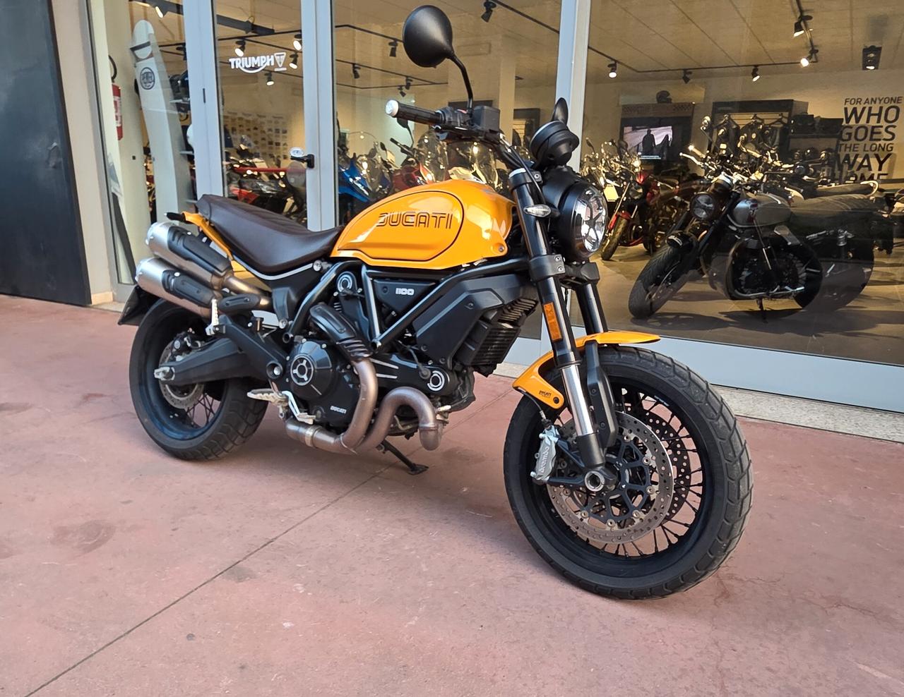 Ducati Scrambler 1100 TRIBUTE PRO