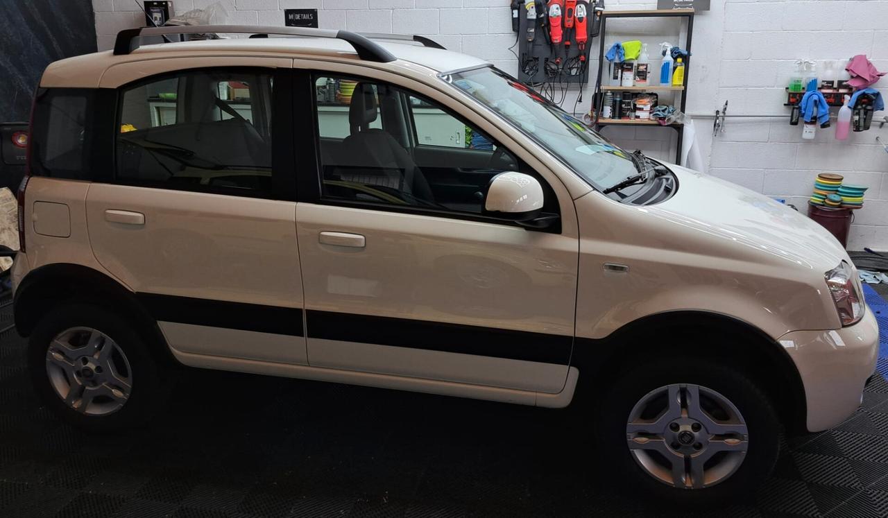 Fiat Panda 1.3 MJT 16V DPF 4x4 Climbing