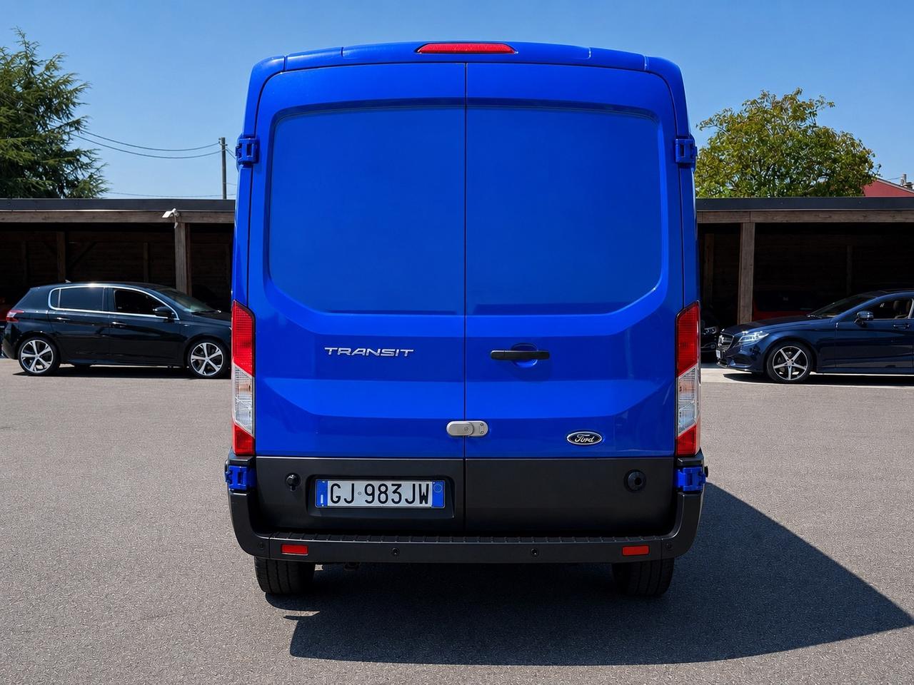 Ford Transit 350 2.0TDCi EcoBlue 130CV PM-TM Furgone Entry