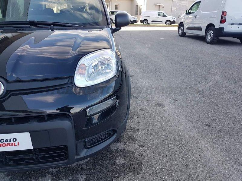 FIAT Panda Panda 1.0 70cv Hybrid Panda