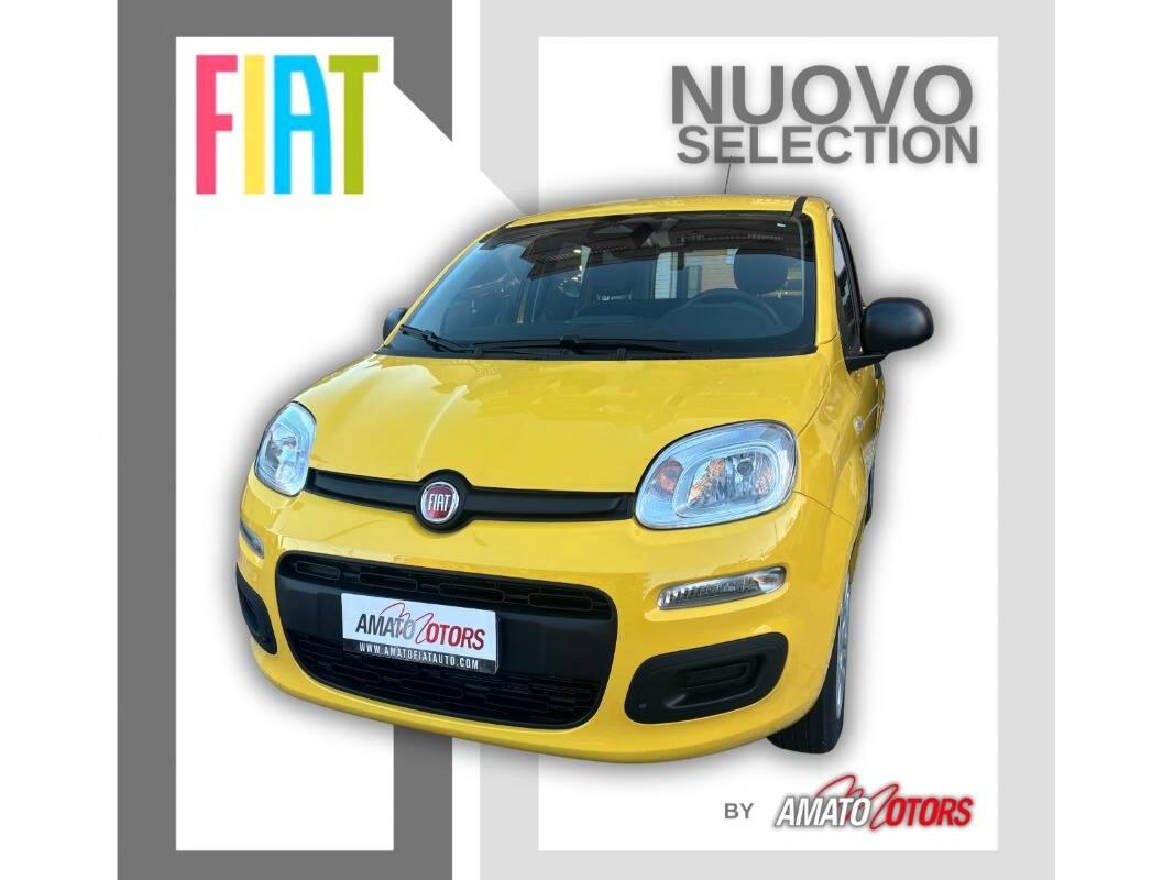 Fiat Panda 1.0 firefly hybrid Pop s&s 70cv