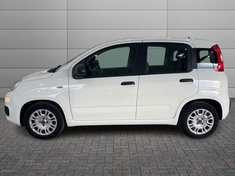 FIAT Panda Panda 1.0 firefly hybrid s&s 70cv