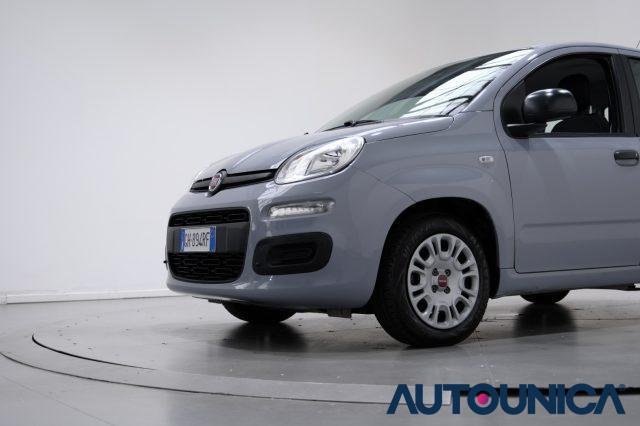 FIAT Panda 1.0 FIREFLY S&S HYBRID NEOPATENTATI