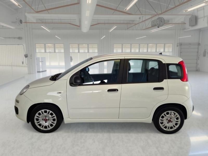 FIAT PANDA 1.0 70cv S/S Hybrid E6d-T Easy 5 PORTE
