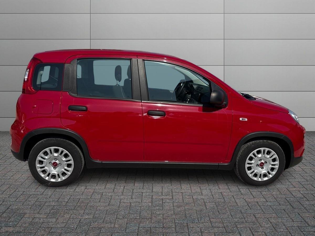 FIAT Panda III 2021 - Panda 1.0 firefly hybrid s&s 70cv
