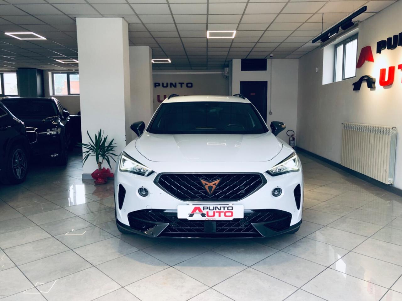 Cupra Formentor 1.5 TSI DSG LUCI AMBIENT PELLE-TELEC