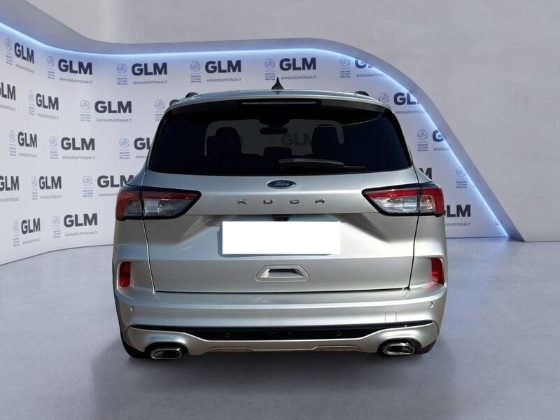 Ford Kuga Kuga 1.5 EcoBlue 120 CV 2WD ST-Line