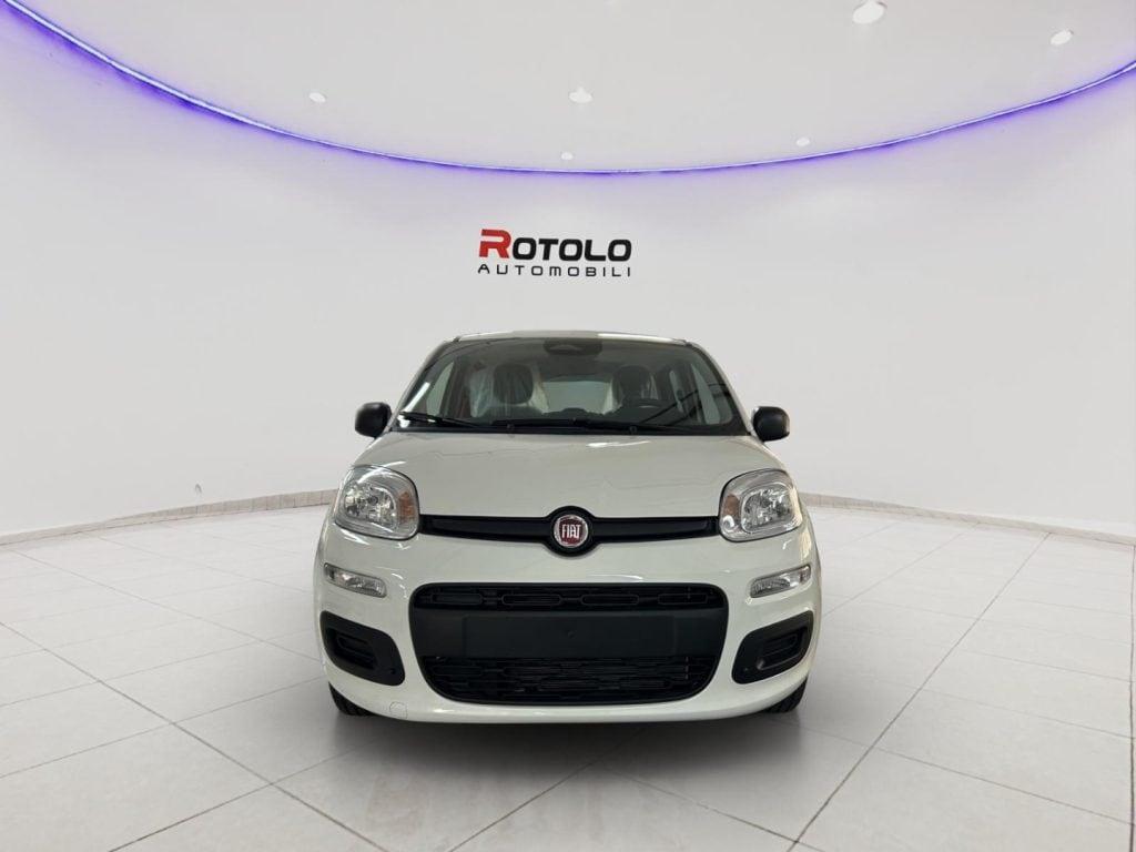 FIAT Panda 3ª serie Panda 1.0 FireFly S&S Hybr...