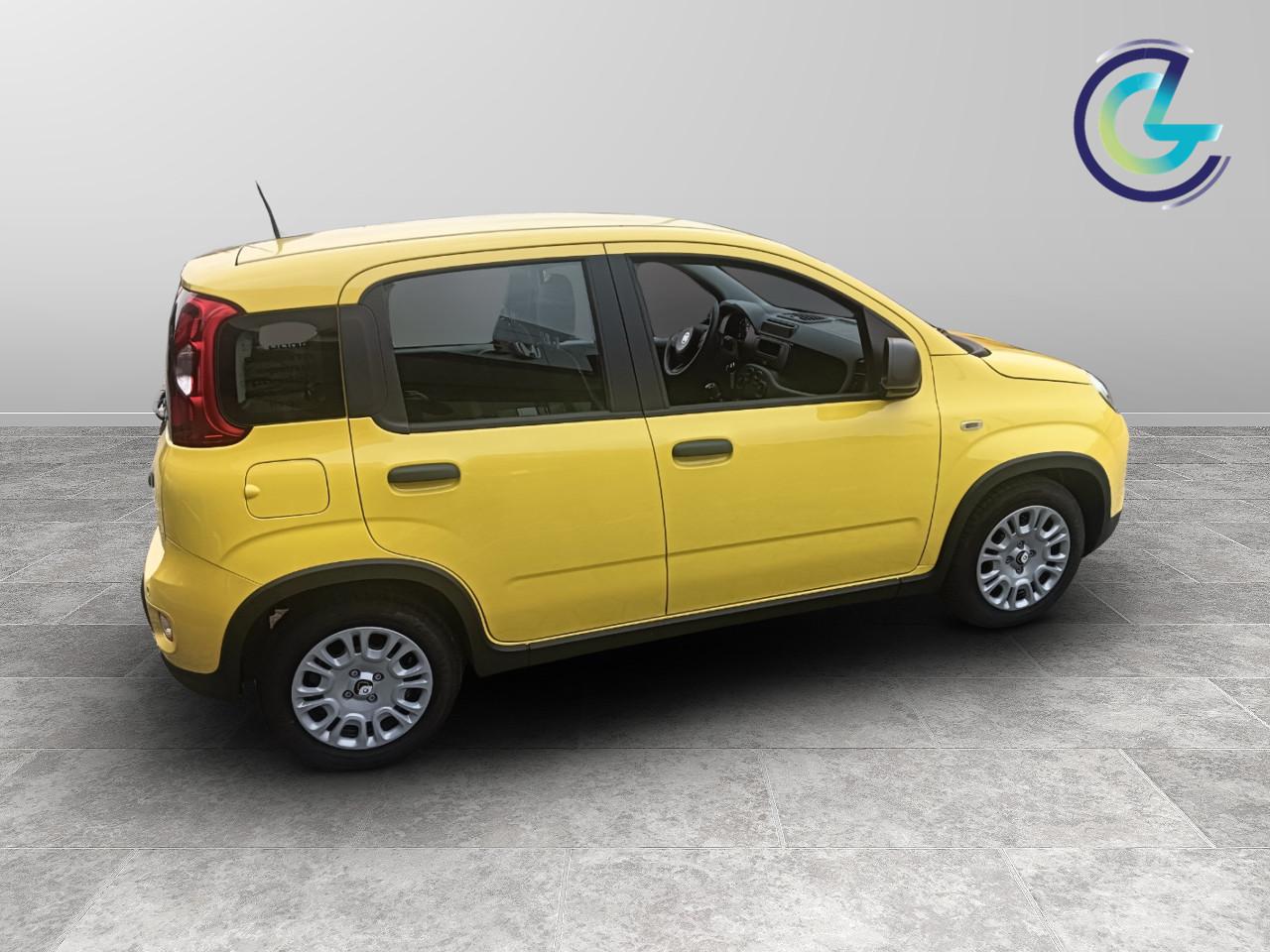 FIAT Panda III 2024 - Panda 1.0 firefly hybrid s&s 70cv