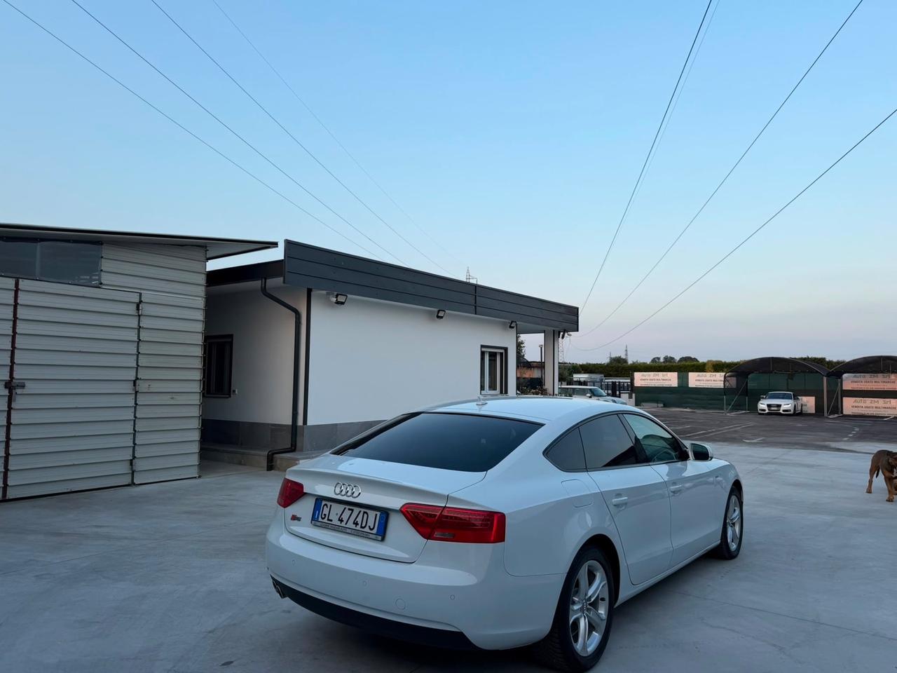 Audi A5 SPB 2.0 TDI 150 CV Business Plus