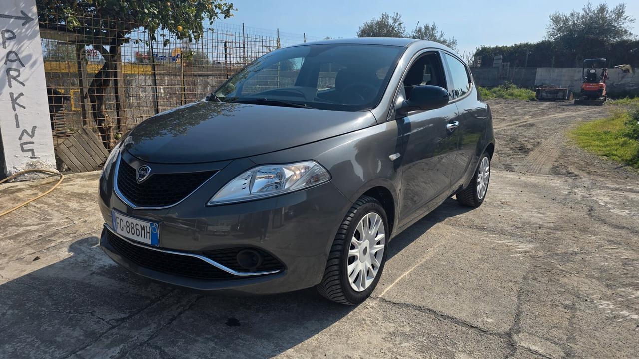 Lancia Ypsilon 1.3 MJT 16V 95 CV 5 porte S&S Platinum