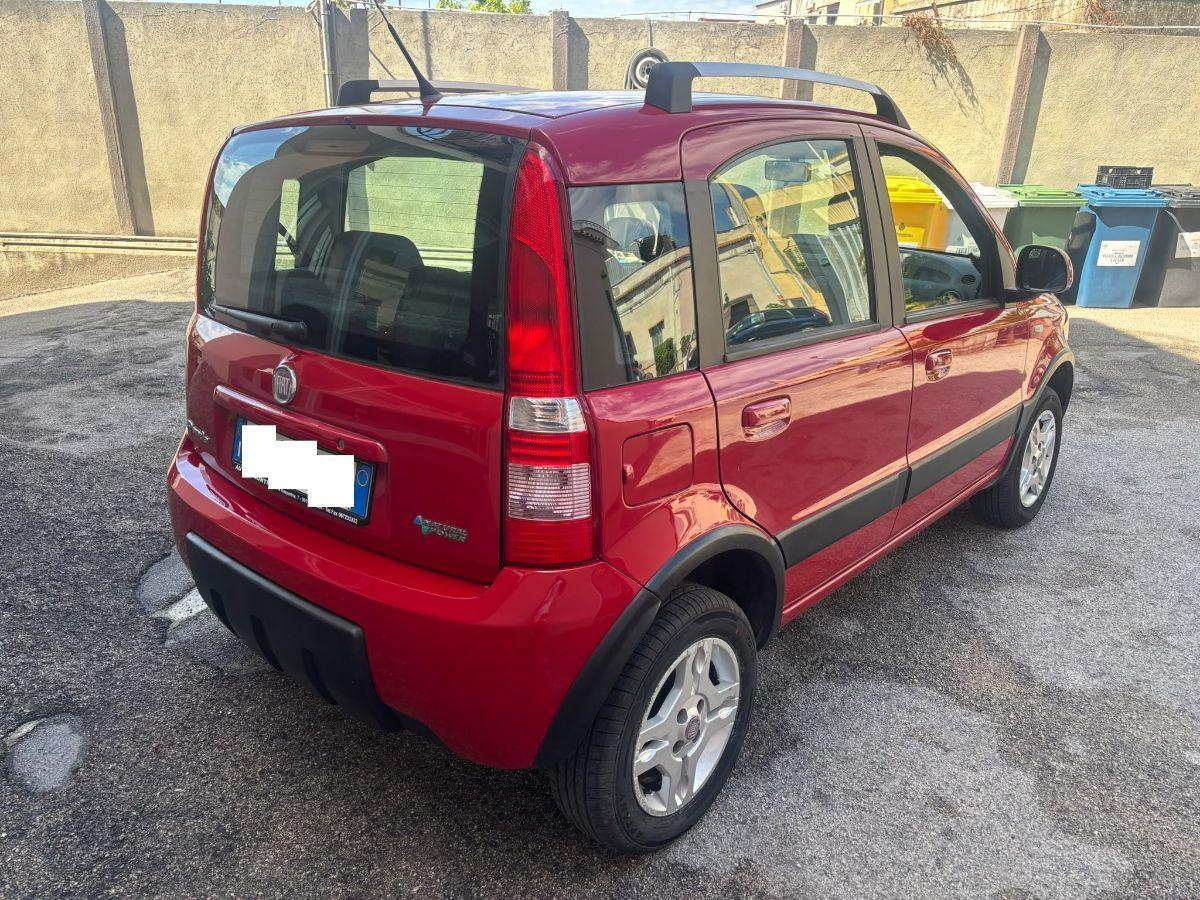 FIAT Panda 1.2 Climbing Natural Power