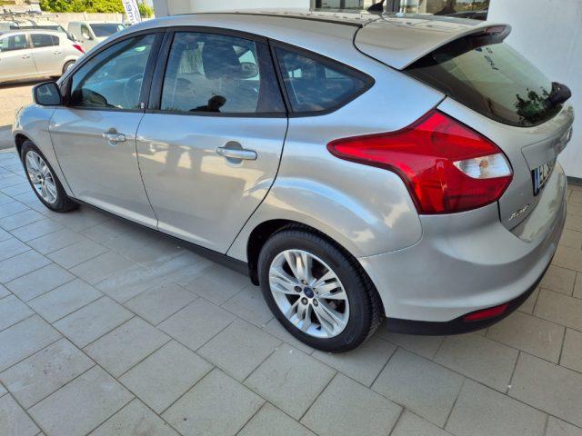 FORD Focus 1.6 TDCi 115 CV