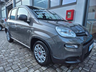 Fiat Panda 1.0 Hybrid FireFly S&S 70 CV
