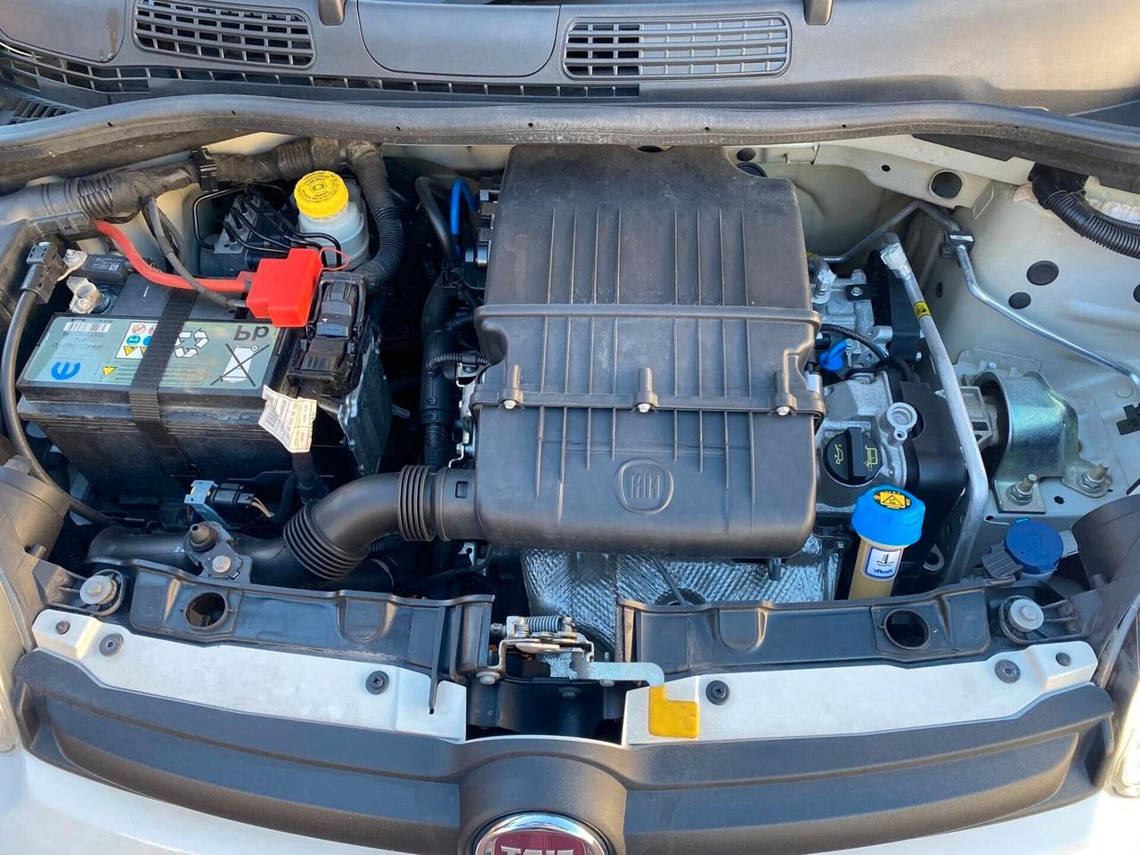 FIAT PANDA EASY 1.2cc IDONEA NEOPATENTATI