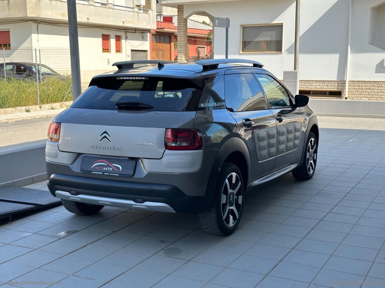 CITROEN C4 Cactus BlueHDi 100 Rip Curl