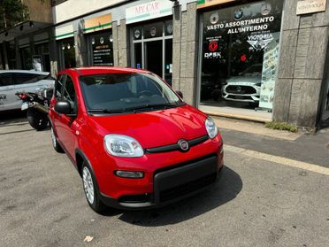 Fiat Panda 1.0 FireFly S&S Hybrid < PREZZO PROMO >