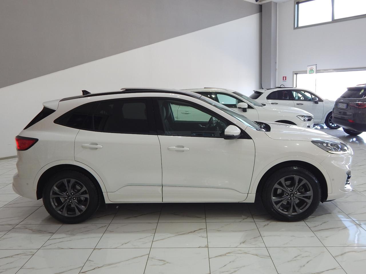 Ford Kuga 2.0 ecoblue ST-Line X awd 150cv Aut. TETTO-NAVI-PELLE-PARK-LED