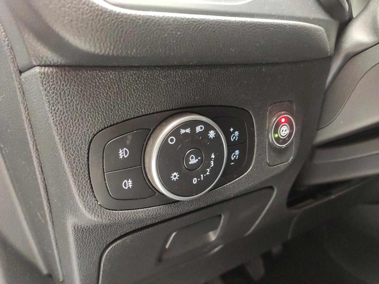 Ford Focus 1.0 EcoBoost 125 CV Active-GPL