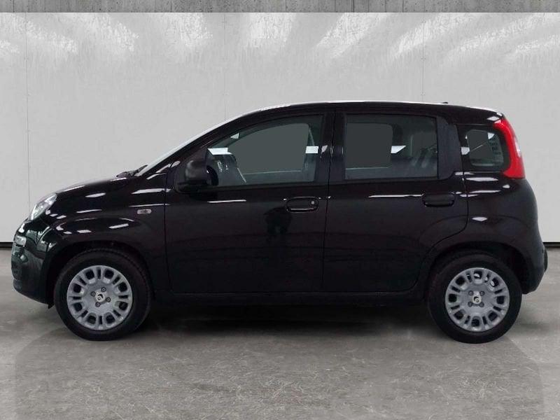 FIAT Pandina 1.0 firefly hybrid Icon s&s 70cv 5p.ti
