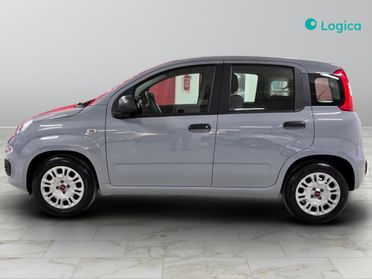 FIAT Panda III 2021 - Panda 1.0 firefly hybrid s&s 70cv