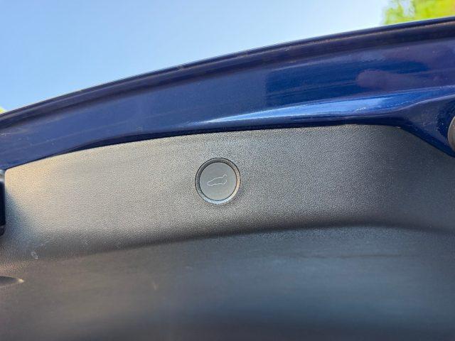 TESLA Model 3 STANDARD RWD PLUS UNIPROPRIETARIO TETTO PANORAMICO
