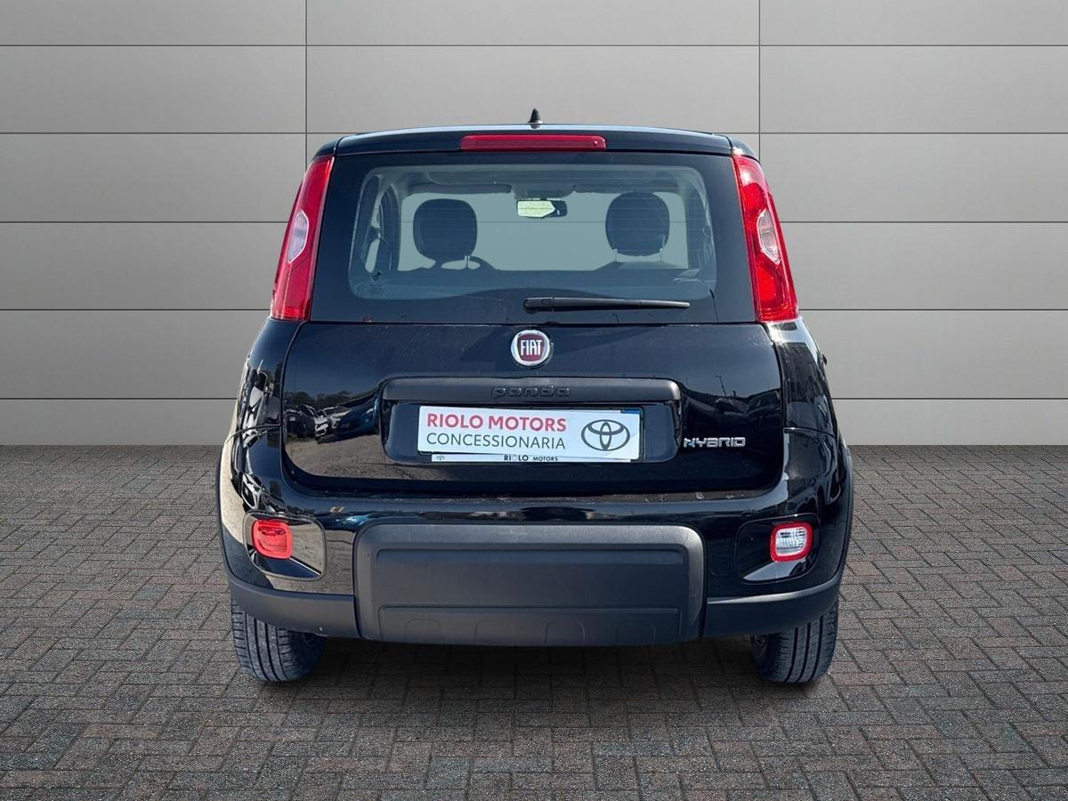 FIAT Panda III 2021 - Panda 1.0 firefly hybrid s&s 70cv