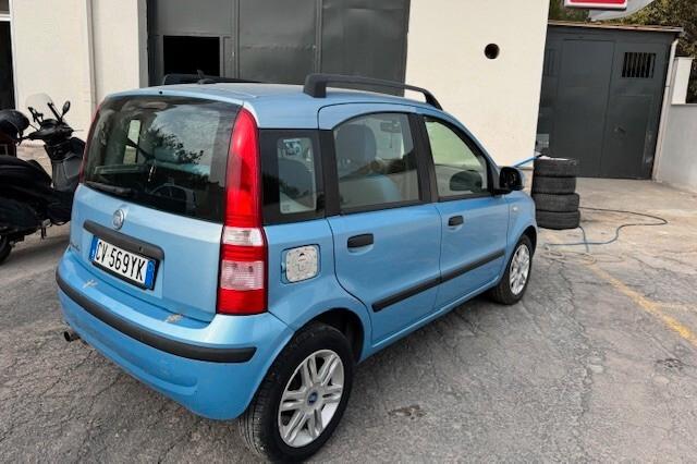 Fiat Panda Fiat Panda 1.2 Emotion cambio automatico