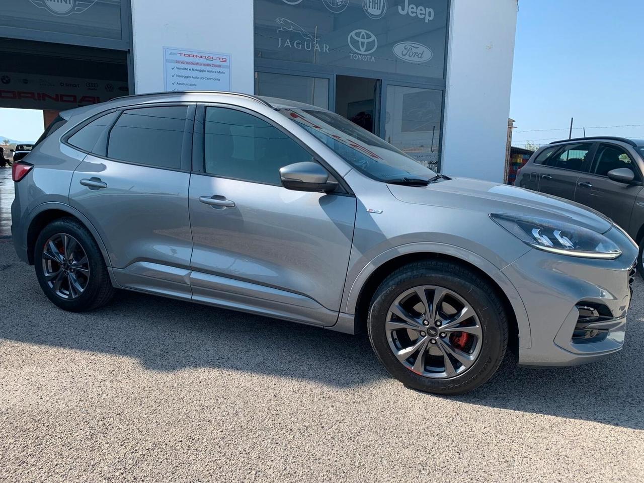 Ford Kuga 1.5 EcoBlue 120 CV 2WD Sport ST-Line