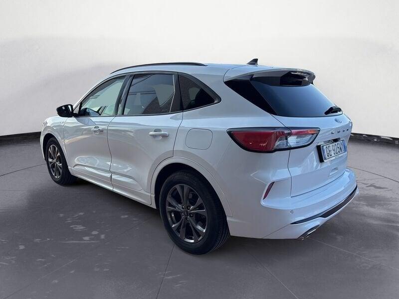 Ford Kuga Kuga 1.5 EcoBlue 120 CV aut. 2WD ST-Line