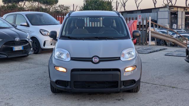 FIAT Panda HYBRID CITYLIFE 1.0cc 70cv
