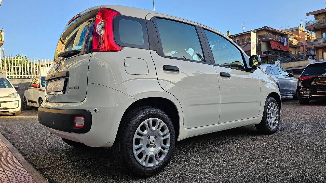 Fiat Panda 1.0 FireFly S&S Hybrid Pandina ICON KM0 REALE