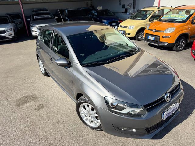 VOLKSWAGEN Polo 1.2 TDI DPF 5 p. Trendline PARI AL NUOVO