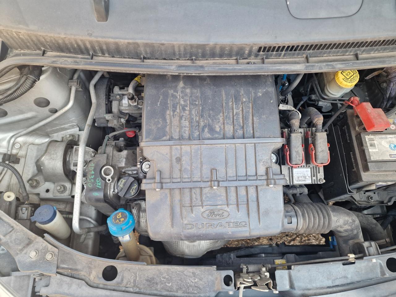 Ford Ka Ka+ 1.2 8V 69CV