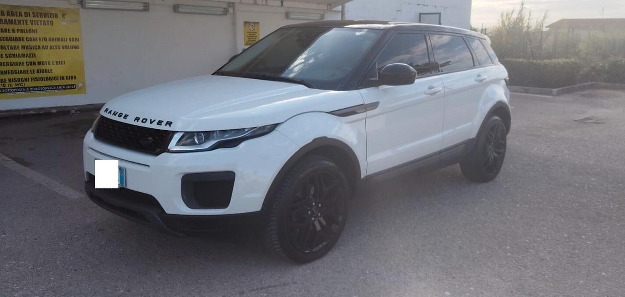 Land Rover Range Evoque 2.2 TD4 150 CV 5p. Dynamic