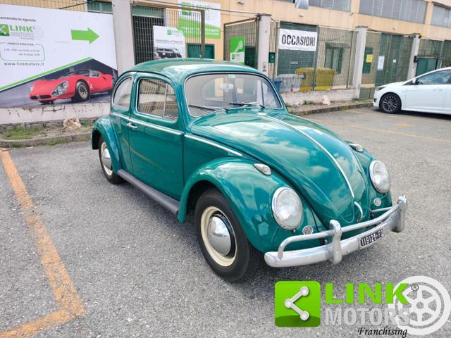 VOLKSWAGEN Maggiolino 6 VOLT