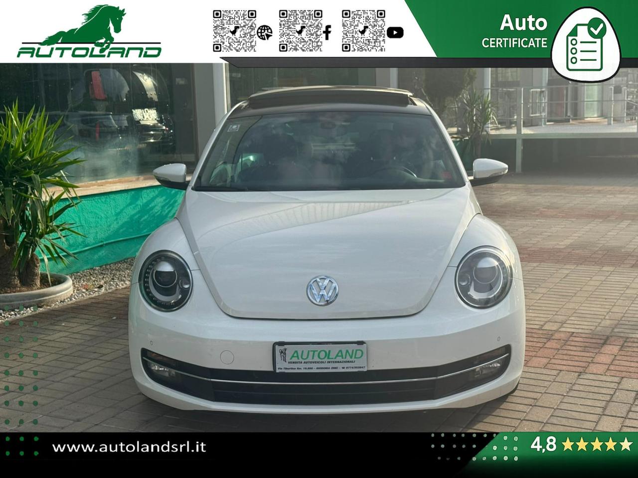 Volkswagen Maggiolino Maggiolino 1.6 tdi Design 105cv dsg