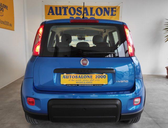 FIAT Panda 1.0 FireFly S&S Hybrid PREZZO REALE / NEOPATENTATI