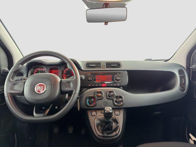 FIAT Panda Panda 1.0 FireFly 70cv S&S Hybrid E6d-Final EASY