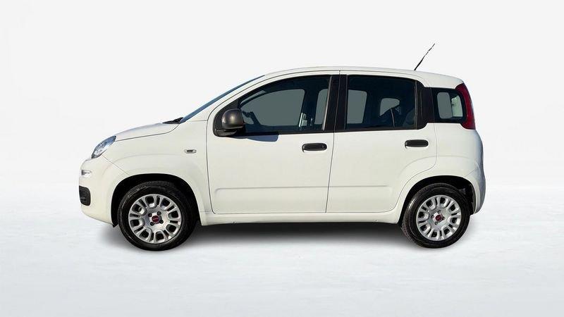 FIAT Panda 1.2 Easy s&s 69cv my19