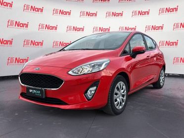 Ford Fiesta 1.1 75 CV GPL 5 porte Titanium