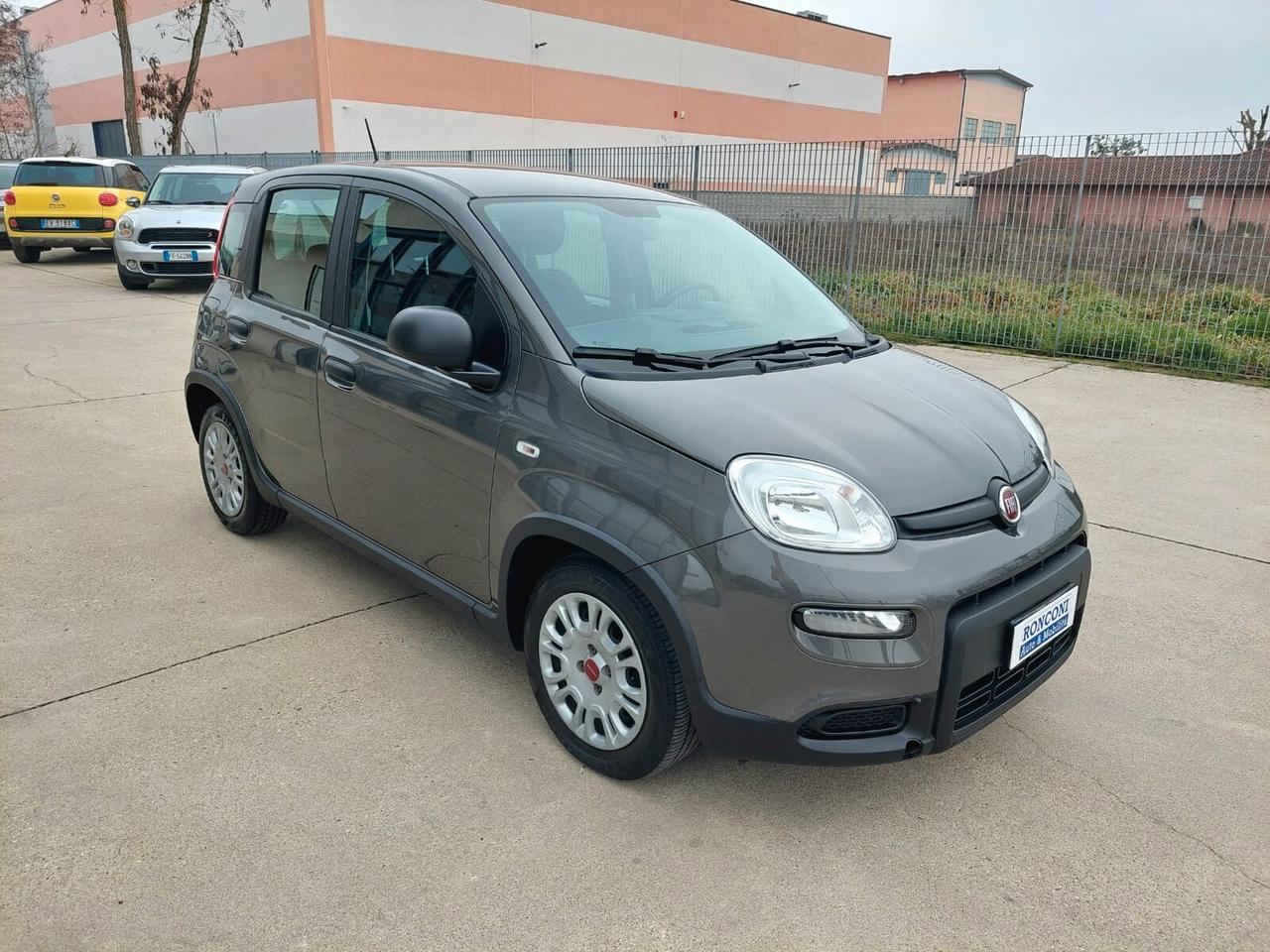 FIAT Panda 1.0 FireFly S&S Hybrid 5 posti - 2023