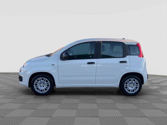 FIAT Panda Pandina 1.0 FireFly 65 CV Hybrid Icon