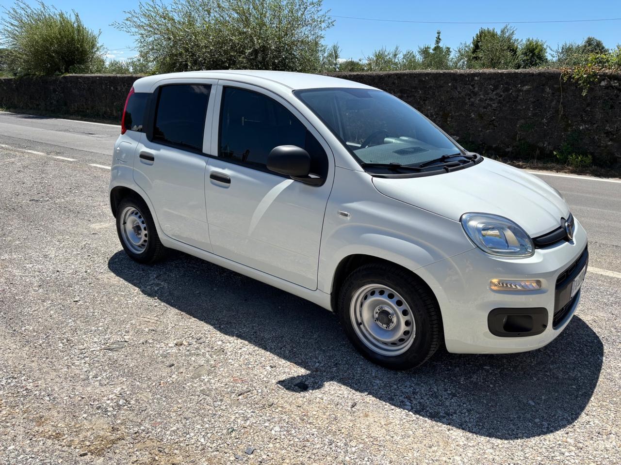Fiat Panda 1.2 GPL Pop Van 2 posti