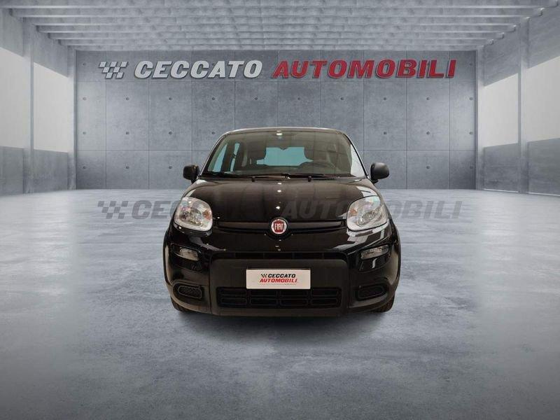 FIAT Panda Panda 1.0 firefly hybrid s&s 70cv