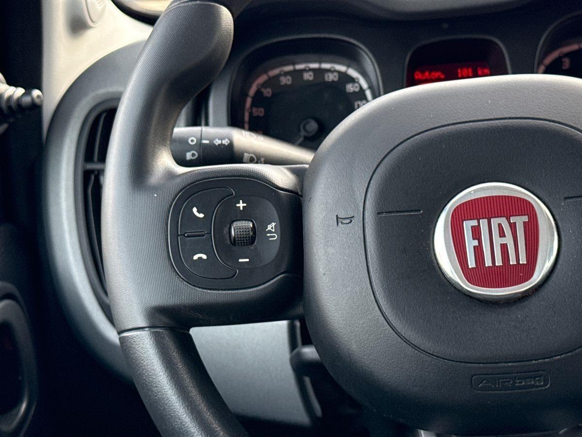 FIAT Panda III 2021 - Panda 1.0 firefly hybrid s&s 70cv